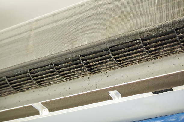 Best Local Air Duct Cleaning Services  in Anna, IL